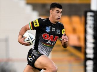charlie staines penrith panthers