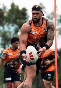 17635653621685744371414396657261